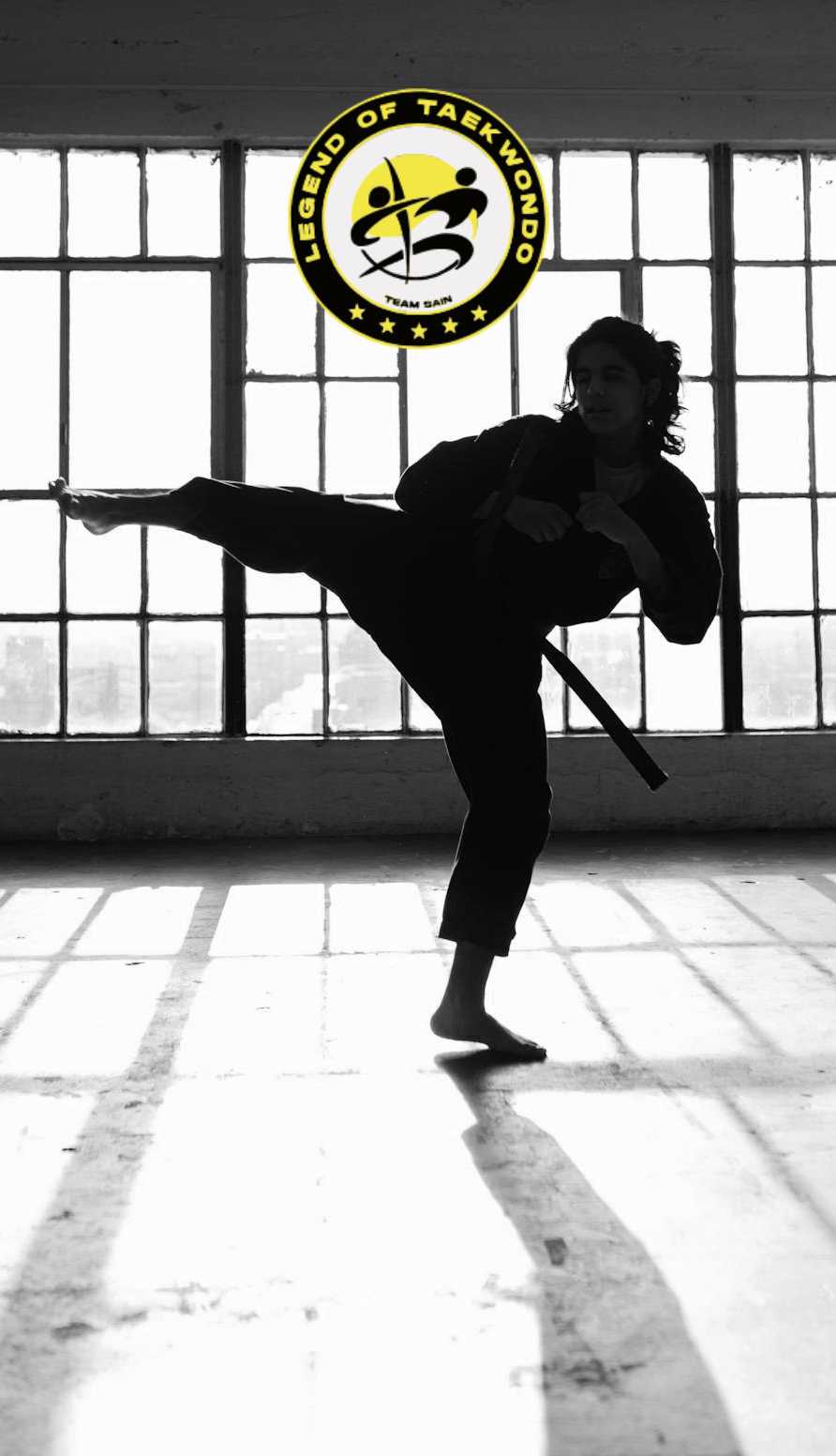 Profile image for Legend of taekwondo