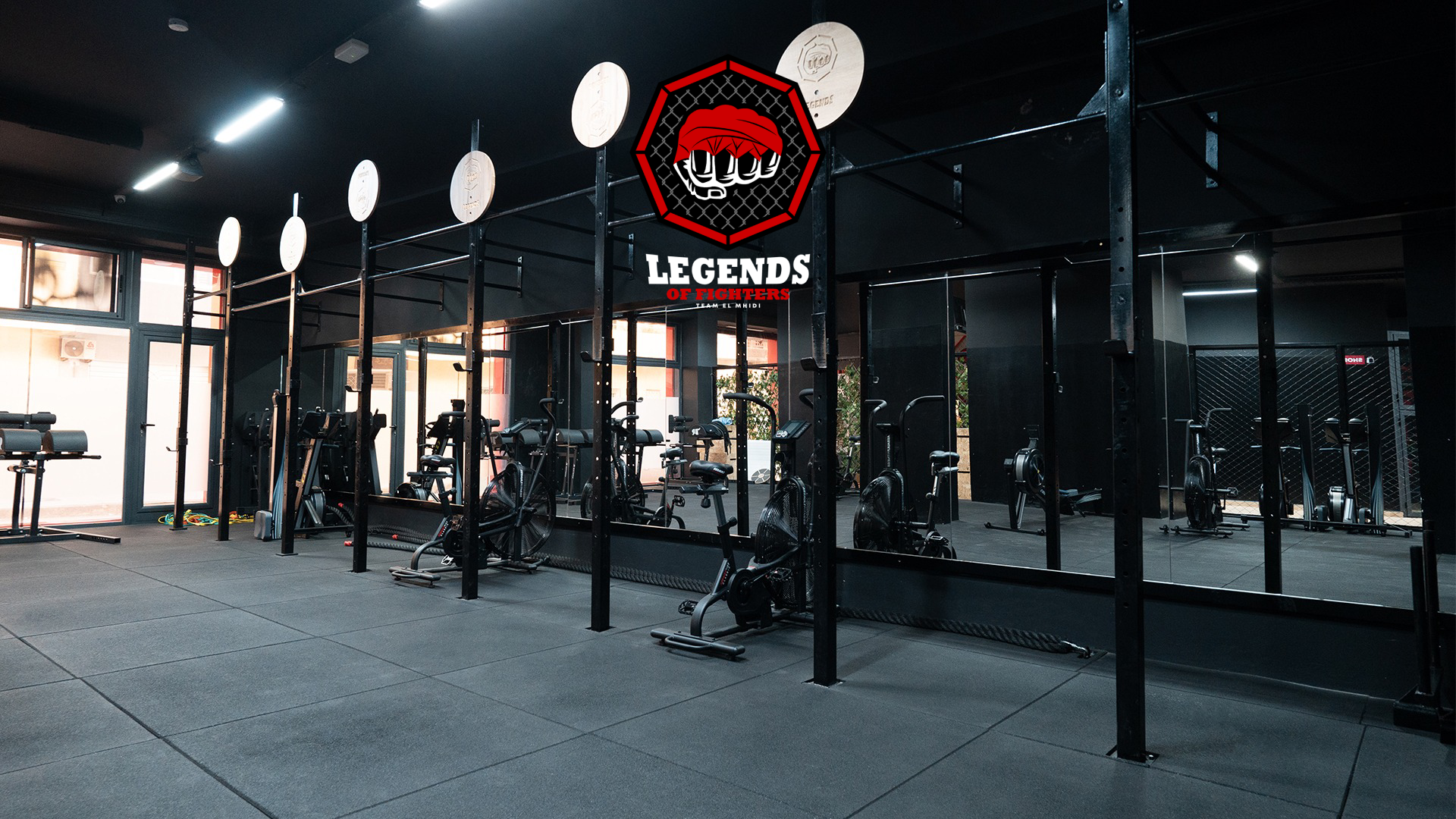 Profile image for LEGENDS OF FIGHTERS